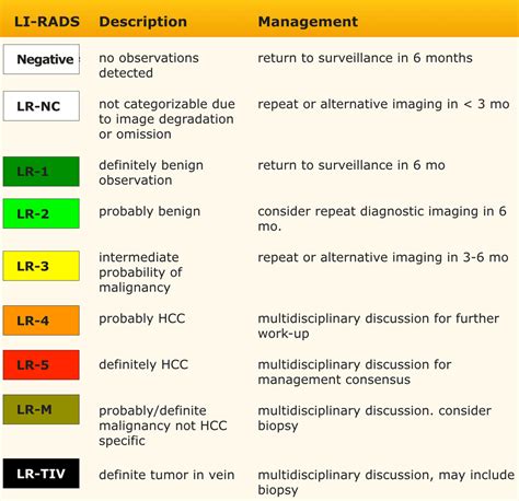 lr 3 lesion liver