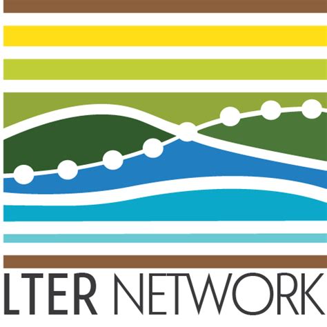 lter network