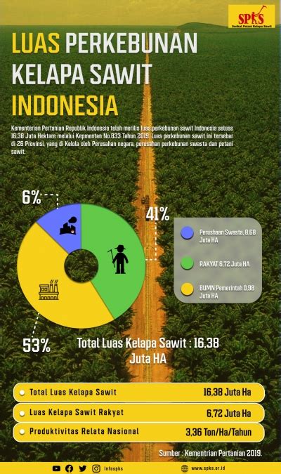 luas perkebunan sawit di indonesia 2023