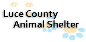 luce county animal shelter