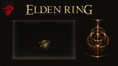 Elden Ring Trouver facilement une graine dorée près du Viaduc enjambant la forêt (Plateau