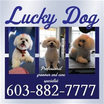 Lucky Dog Pet Lodge Bloomington