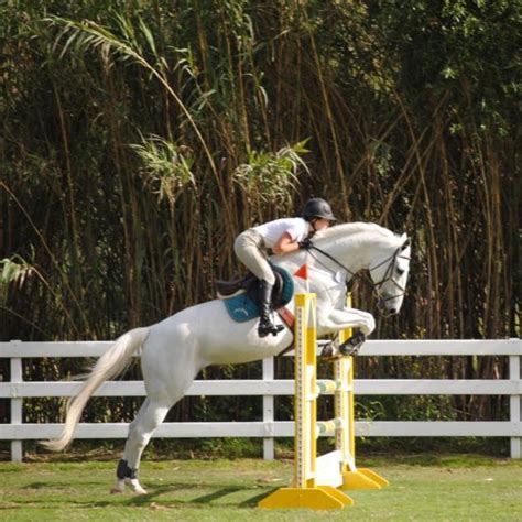 Lucky Kid Farms Jamul