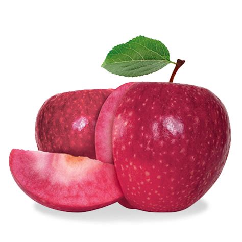 Lucy Rose Apple: Mysterious Digital Secret