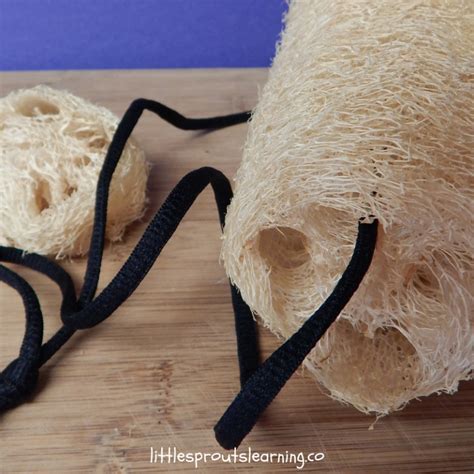 Luffa Sponge Uses