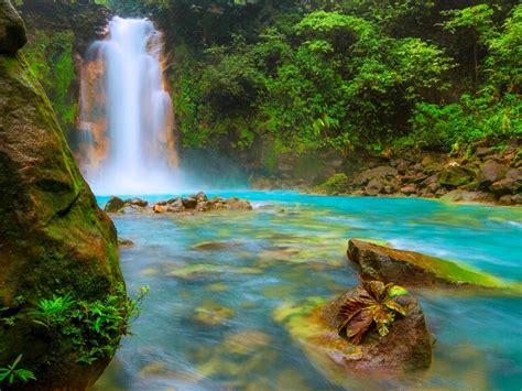 lugares bonitos cerca de la naturaleza