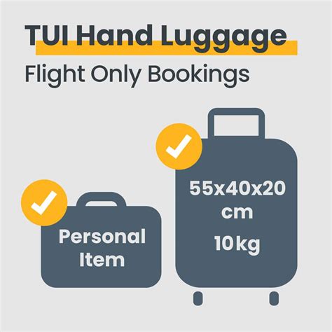 luggage only hand