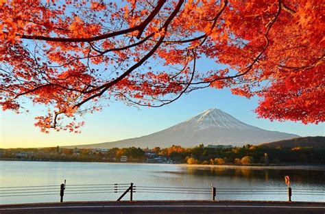 Lukisan Musim Gugur Jepang