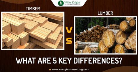 Lumber Definition Antonym