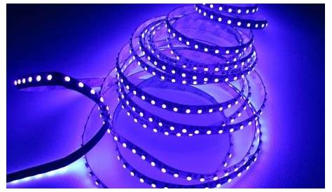Winzwon LED Lampe Torche UV Lumière Noire sécurité poche