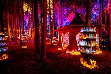 Luminarias Electric Forest