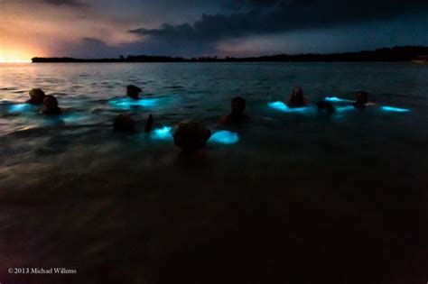 luminous lagoon jamaica reviews