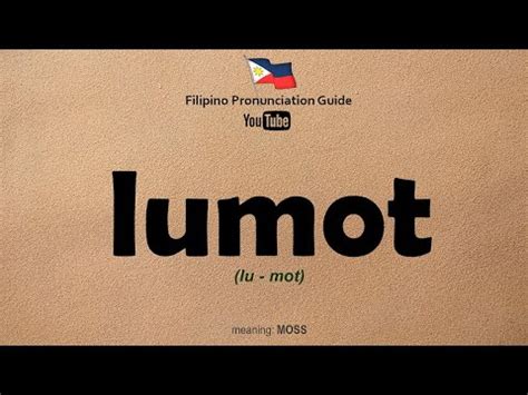 lumot in english term