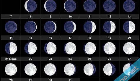 Total Lunar Eclipse January 2019 photos