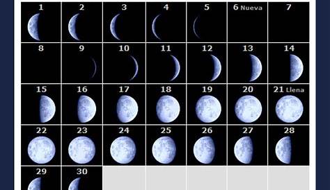 Luna 17 De Noviembre 2018 Calendario r Año Fases res