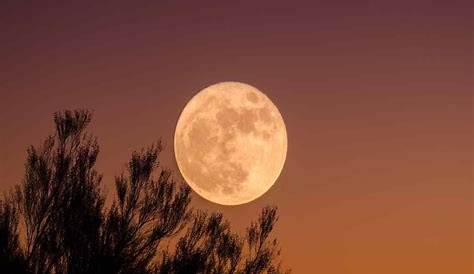 Luna Llena De Agosto | Salida de la luna un día despuésde la… | Flickr