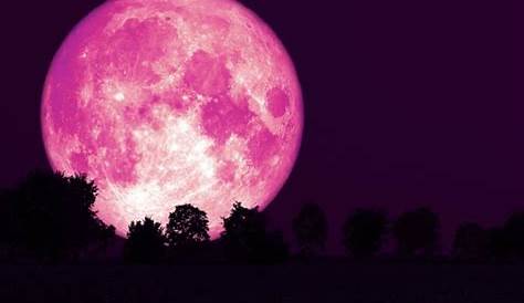 Luna Rosa, 6 de abril 2023: Cómo afecta la luna llena a los signos | Vogue