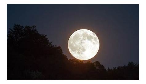 Este martes "Luna Fría" última Luna llena del 2020 y de la década