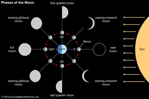 lunar phases