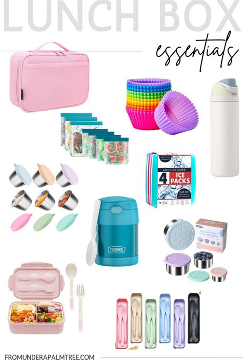 Top 5 Lunch Box Essentials! Mom Saves Money