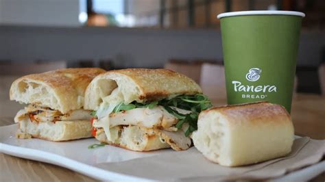 Lunch Panera Hours