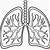 lungs coloring page