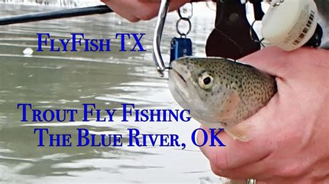 Lure Fishing on the Blue River