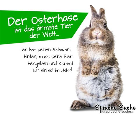 Ostersprüche Die schönsten Ostergrüße zum Nachlesen Ostersprüche