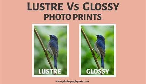 What is the difference between Matte, Glossy, and Luster