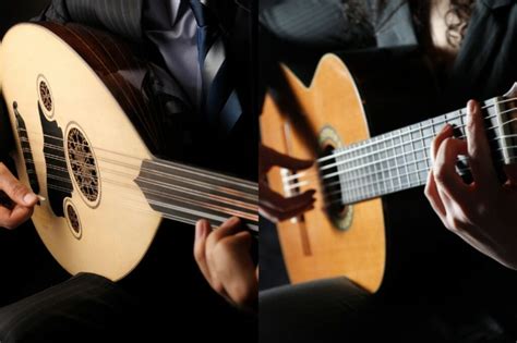 Lute Guitar Difference