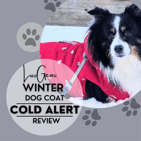 Luvgear Dog Coat Cold Alert