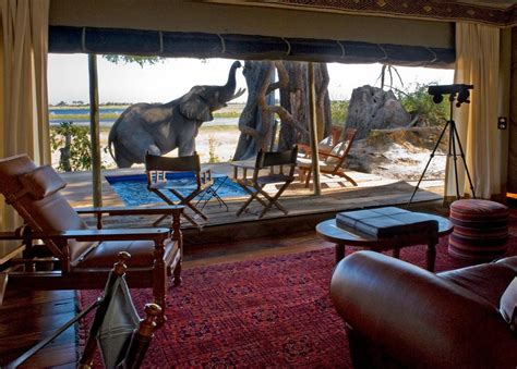 luxury african safari tour