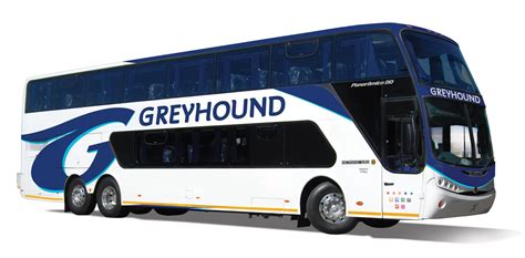 luxury bus travel south africa