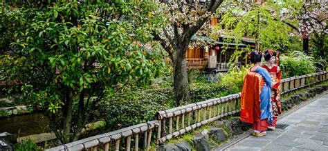 luxury small group tours japan