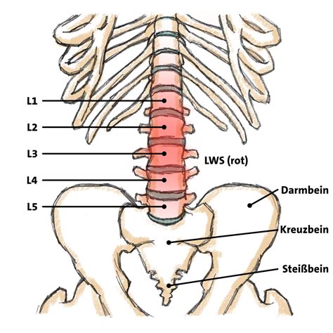 lws syndrom icd 10