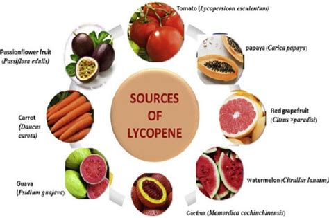 Lycopene And Kidney Function