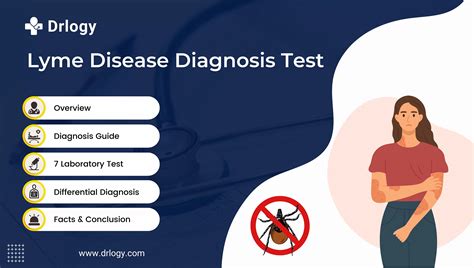 Lyme Disease Test Effectiveness