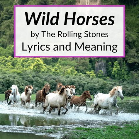 lyrics to wild wild horses