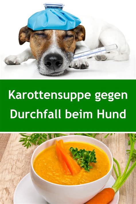 Moro'sche Möhrensuppe für Hunde Rezept bei Durchfall Möhren suppe