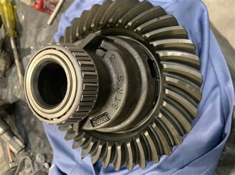 M80 Diff Backlash Specs