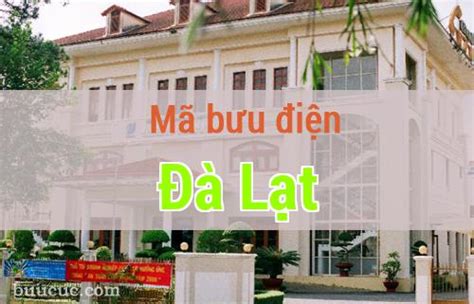 ma buu dien da lat