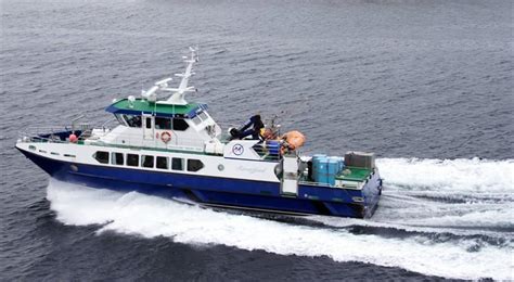 Discover Secrets of the Rare Maan Dolphin