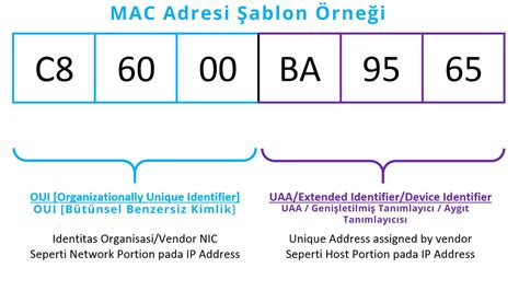 mac adresi hangi katmanda