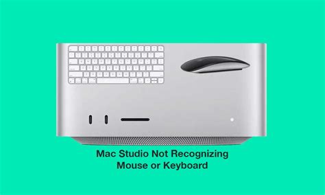 Mac Keyboard And Mouse Not Working