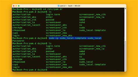 mac recovery terminal sudo command not found