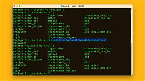 mac terminal bash sudo command not found