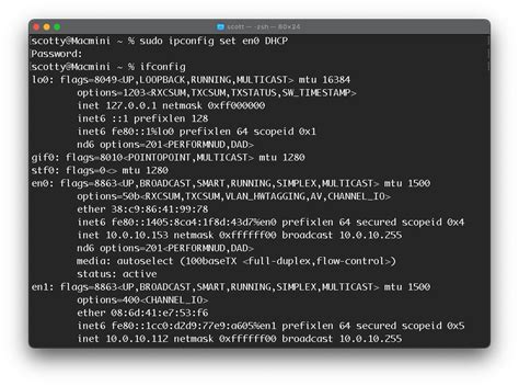 mac terminal commands release ip