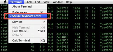 Mac Terminal Secure Keyboard Entry
