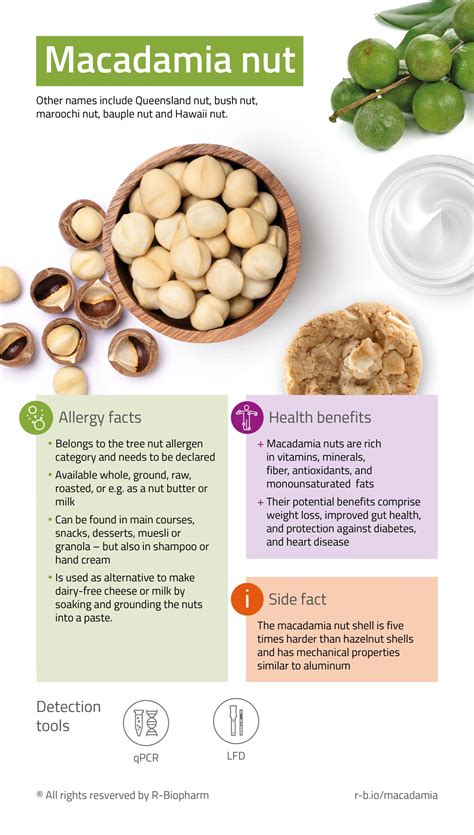 Macadamia Fodmap