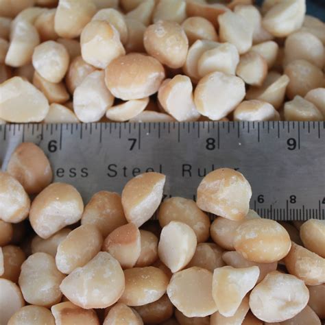 Macadamia Nuts Bulk Barn